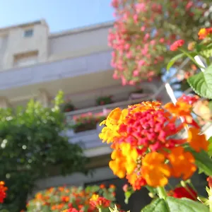  Apartament Pejić